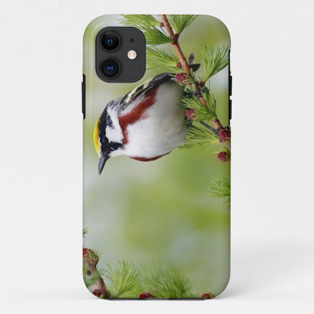 Coques Case-Mate iPhone BIRD grey_iphone (Dos)