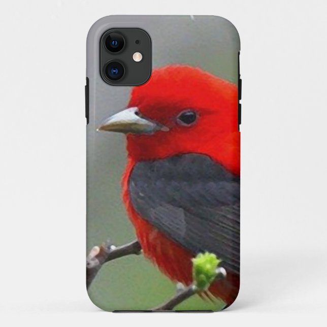 Coques Case-Mate iPhone BIRD red_iphone (Dos)