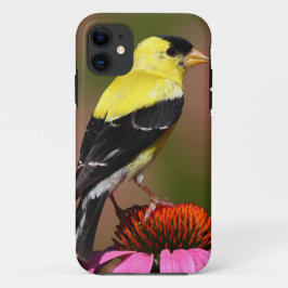 Coques Pour iPhone BIRD yellow_iphone