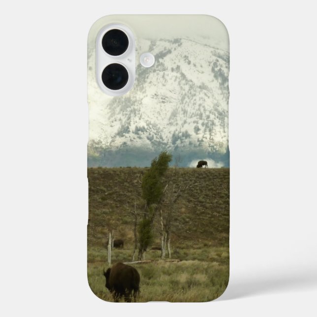 Coques Case-Mate iPhone Bison à Grand Teton National Park Photographie (Verso)