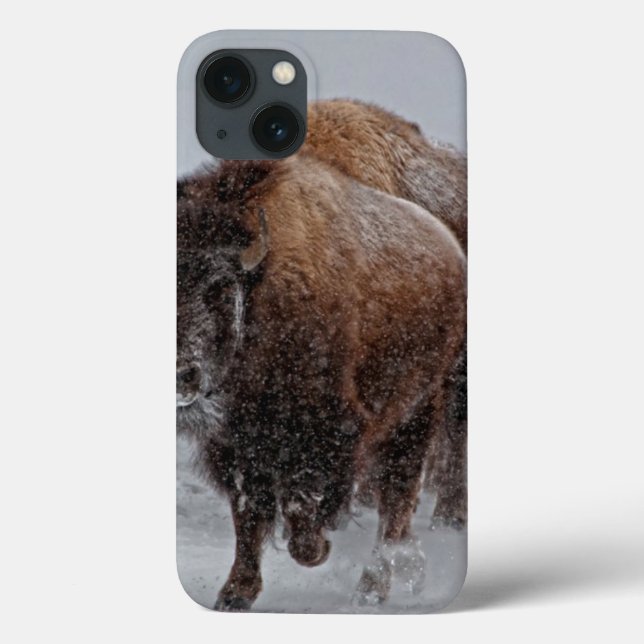 Coques Case-Mate iPhone Bison de Yellowstone (Verso)