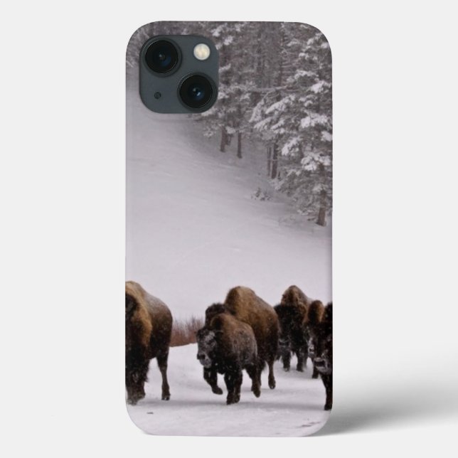 Coques Case-Mate iPhone Bison en hiver (Verso)