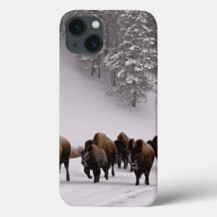 iPhone 13 Case Bison en hiver