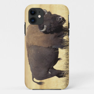 Etui iPhone Case-Mate Bison mâle dans le parc national de Yellowstone