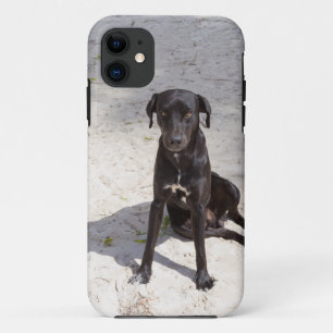 Coques Pour iPhone Black dog avec evil eye