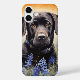 Coques iPhone 16 Plus Black Labrador dans Bluebonnets