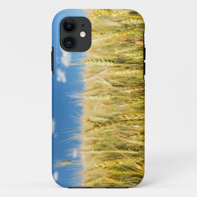 Coques Case-Mate iPhone Blé de Kansas (Dos)