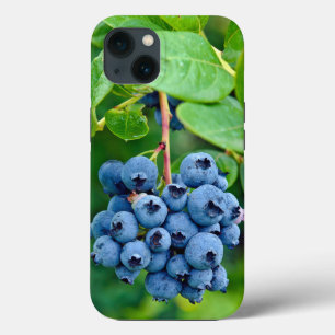 Case-Mate iPhone Case Blueberries Sur Bush