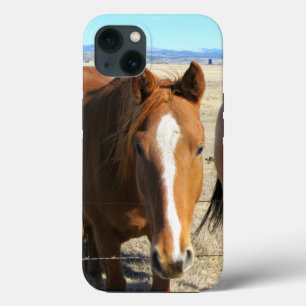 Case-Mate iPhone Case Boîtes de téléphone à cheval