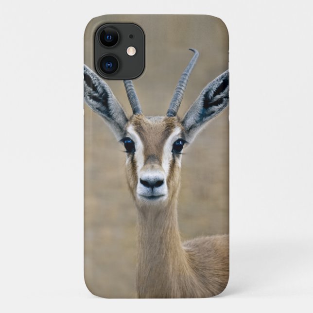 Coques Case-Mate iPhone Boîtier Ariel pour iPhone 11 (Dos)