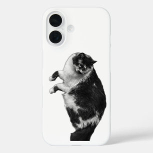 Coques iPhone 16 Boîtier de téléphone de chat Whiskers