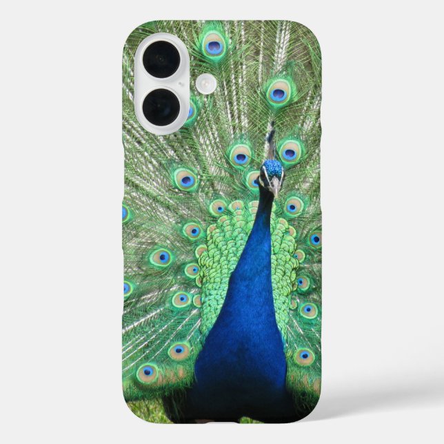 Coques Case-Mate iPhone Boîtier de téléphone - Fière Peacock (Verso)
