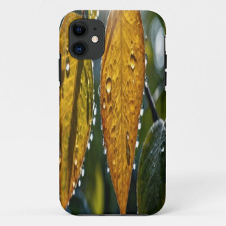 Case-Mate iPhone Case Boîtier de téléphone personnalisable - Créez votre