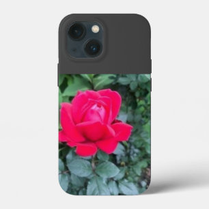 Case-Mate iPhone Case Boîtier iPhone / iPad
