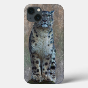 Etui iPhone 13 Boîtier pour iPad Mini Leopard Lookout