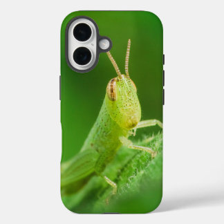 Coques iPhone 16 Boîtier pour iPhone / iPad