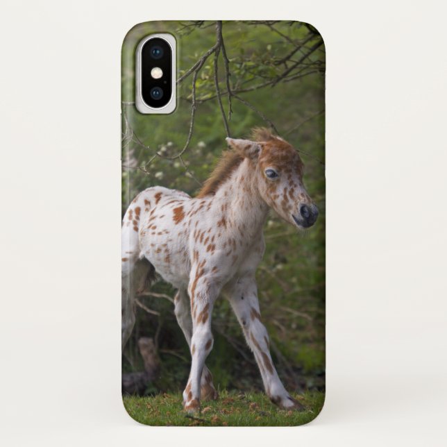 Coques Case-Mate iPhone Boîtier pour iPhone X Freckles (Dos)