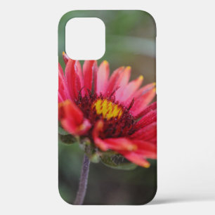 Case-Mate iPhone Case Boîtier téléphonique d'art Fleur sauvage indien