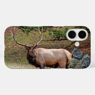 Coques iPhone 16 Boîtier téléphonique Elk Colorado