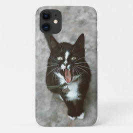 Case-Mate iPhone Case Boîtier téléphonique Fierce Angry Cat - Gras et Ed