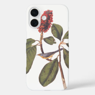 Coques iPhone 16 Bonaparte Moucherolle Canada Paruline Audubon Oise