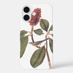 Coques iPhone 16 Bonaparte Moucherolle Canada Paruline Audubon Oise