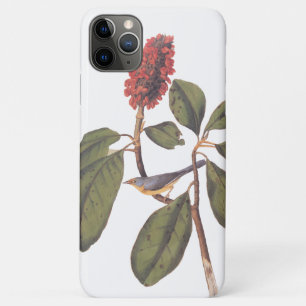 Case-Mate iPhone Case Bonaparte Moucherolle Canada Paruline Audubon Oise