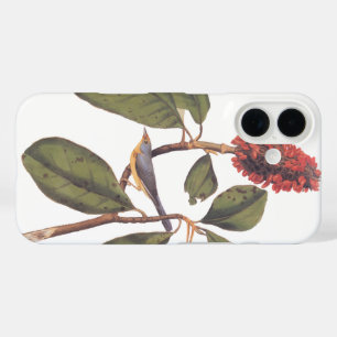 Coques iPhone 16 Bonaparte Moucherolle Canada Paruline Audubon Oise