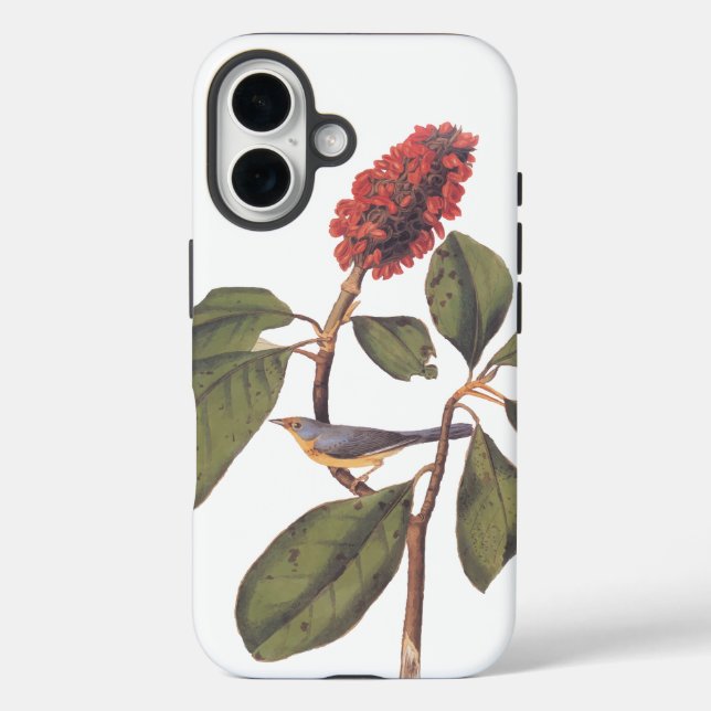 Coques Case-Mate iPhone Bonaparte Moucherolle Canada Paruline Audubon Oise (Verso)