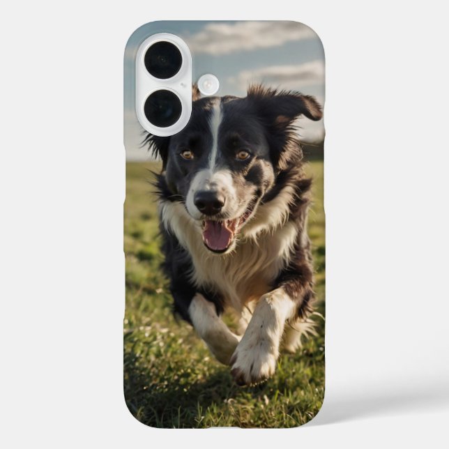 Coques Case-Mate iPhone Bordure Collie Herding (Verso)