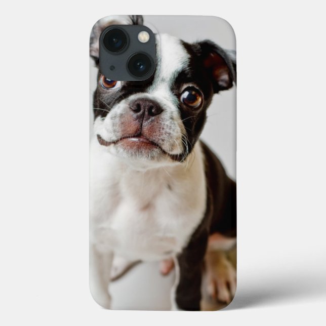 Coques Case-Mate iPhone Boston Terrier (Verso)