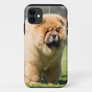 Coque iPhone 11 Bouffe de bouffe
