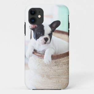 Case-Mate iPhone Case Bouledogue français de cas d'Iphone 5