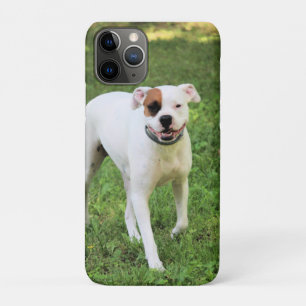 Case-Mate iPhone Case Boxer