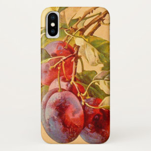 Case-Mate iPhone Case Branche vintage avec prunes