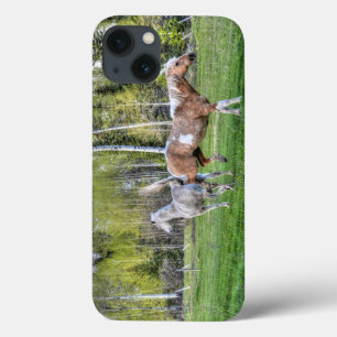 iPhone 13 Coque Bucking Palomino Peinture & Cheval Blanc, Amateurs