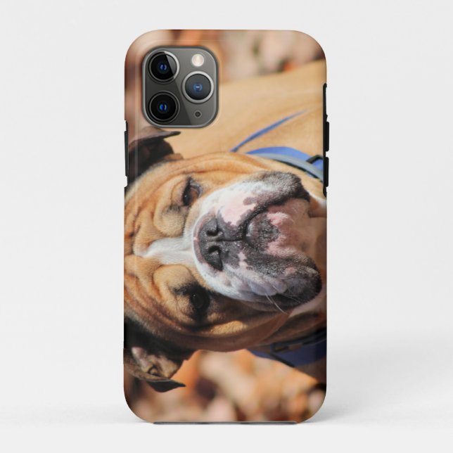 Coques Case-Mate iPhone Buddy Bulldog (Dos)