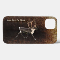 Bull Caribou (Reindeer) Coque-coque iphone