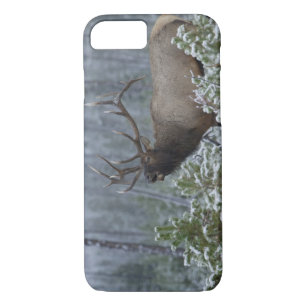 Case-Mate iPhone Case Bull Elk dans l'appel de neige, bourdonnement, Yel