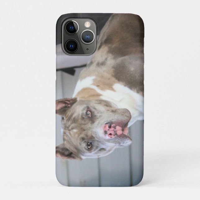 Coques Case-Mate iPhone Bulle de Pitt (Dos)