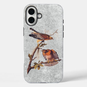 Coques iPhone 16 Plus Buse à épaulettes roux Audubon Oiseau de proie