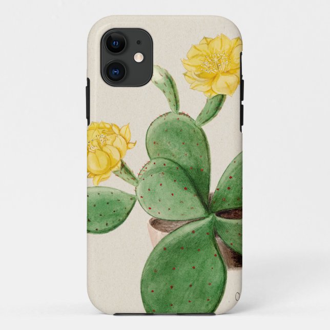 Coques Case-Mate iPhone Cactus 2 (Dos)