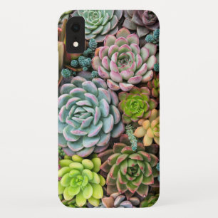 Case-Mate iPhone Case Cactus Succulents cas de téléphone
