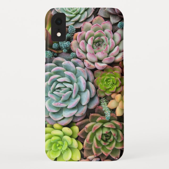 Coques Case-Mate iPhone Cactus Succulents cas de téléphone (Dos)