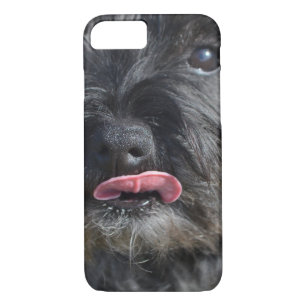 Coques Pour iPhone Cairn Terrier adorable