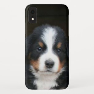 Case-Mate iPhone Case Caisse de point de Xr d'iphone de chiot de chien