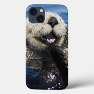 Coques Pour iPhone California Sea Otter Enhydra lutris) grooms