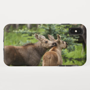 Case-Mate iPhone Case Calves d'orignal