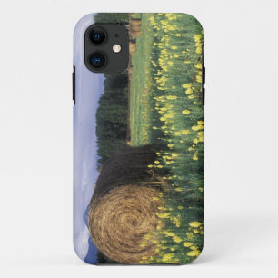Coque Case-Mate Pour iPhone Canada, Colombie-Britannique, Kitwanga. Jaune