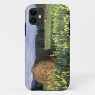 Coque Case-Mate Pour iPhone Canada, Colombie-Britannique, Kitwanga. Jaune